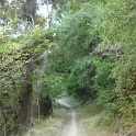 P1040463