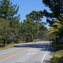 DSC01230