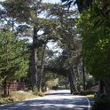 DSC01260