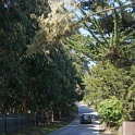 DSC01266