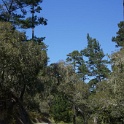 DSC01280