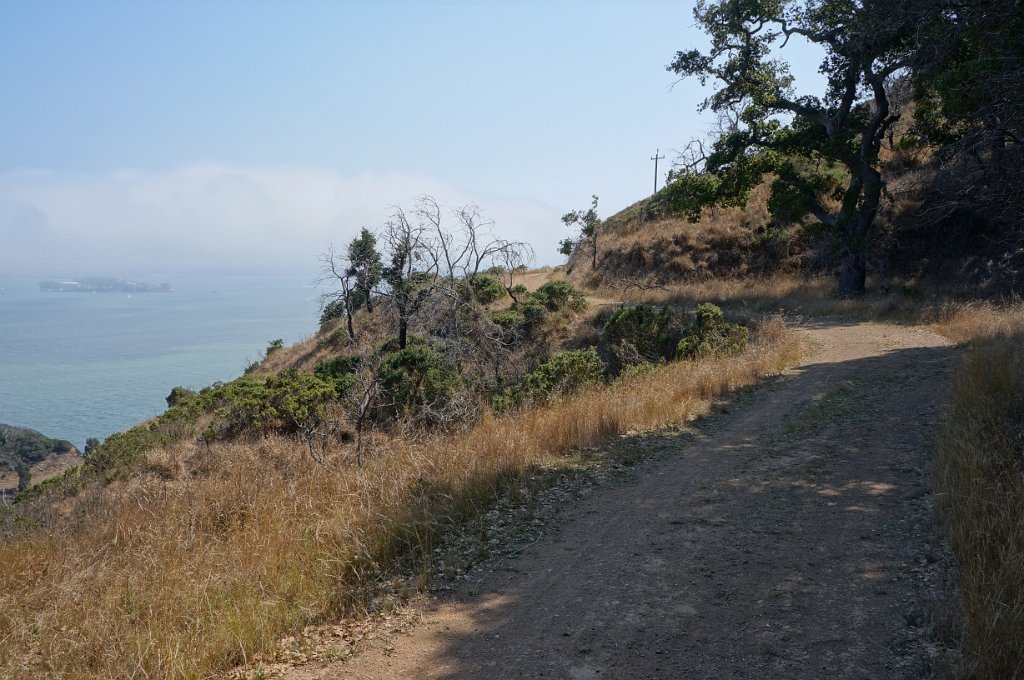 DSC06312