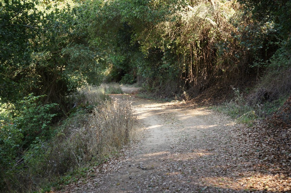 DSC06327