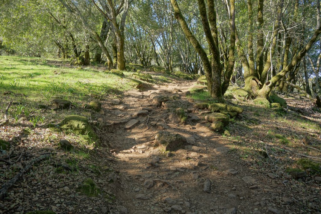 DSC05506