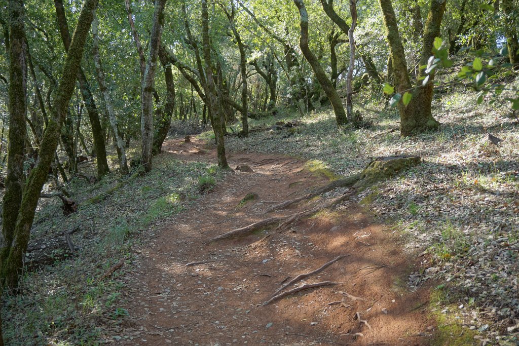 DSC05526