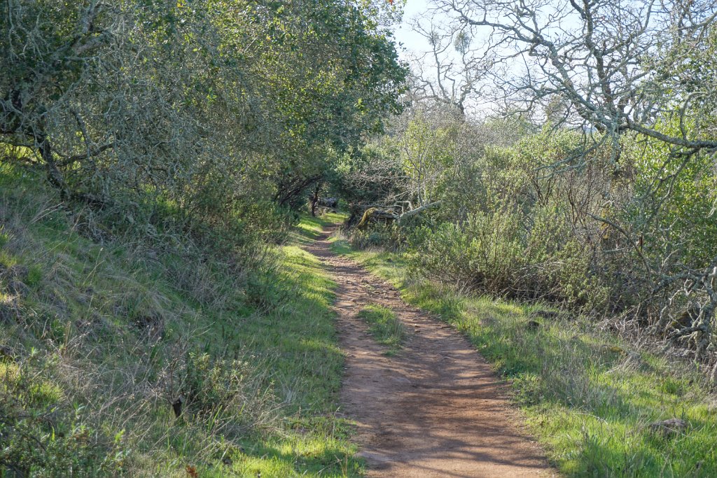 DSC05544