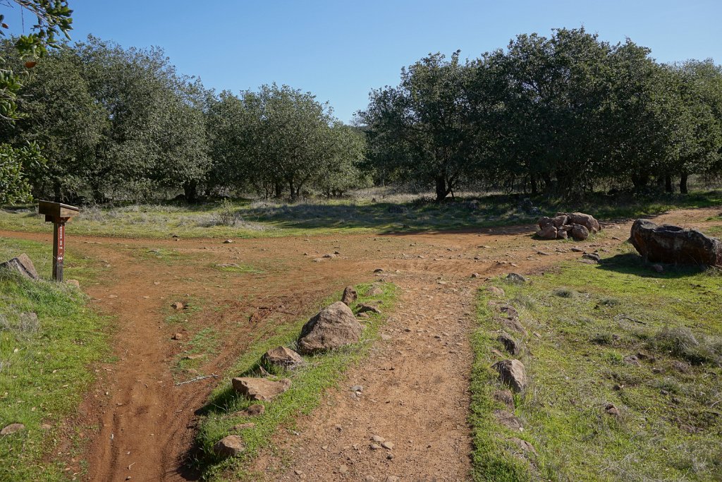DSC05558