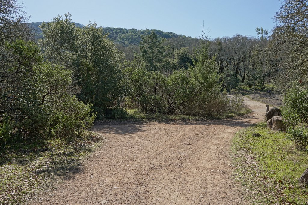 DSC05571