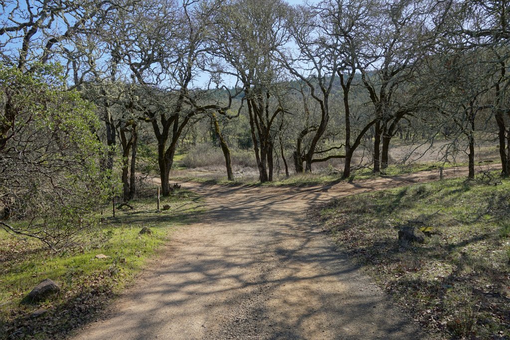 DSC05580