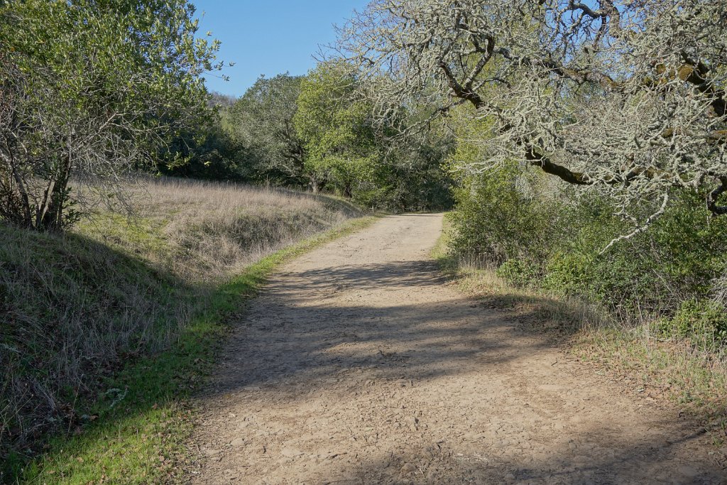 DSC05583