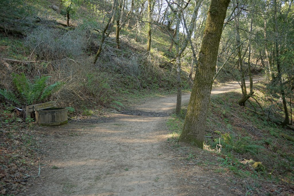 DSC05585