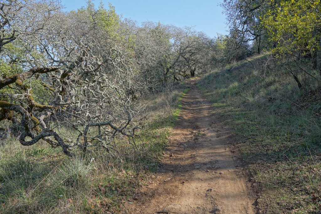 DSC05597