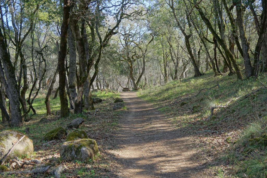 DSC05607