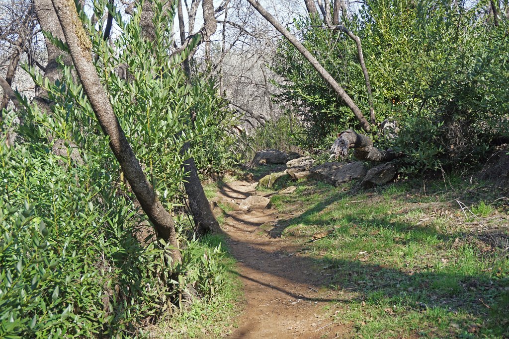 DSC05667