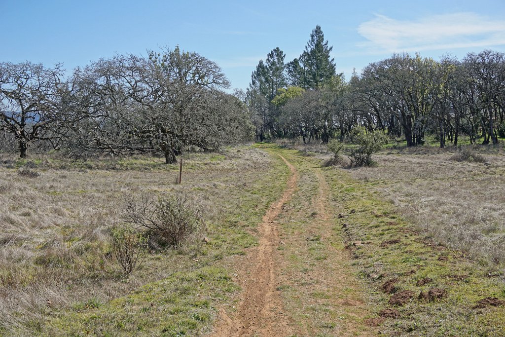 DSC05687