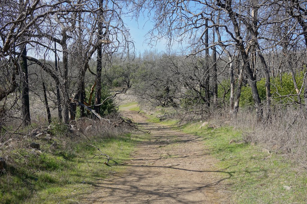 DSC05696
