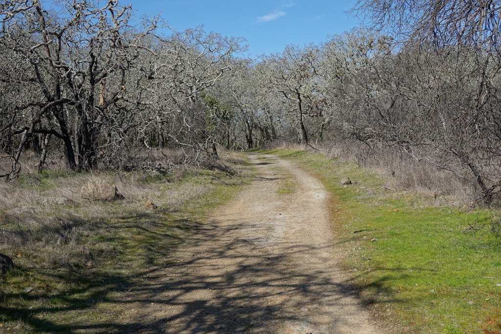 DSC05698