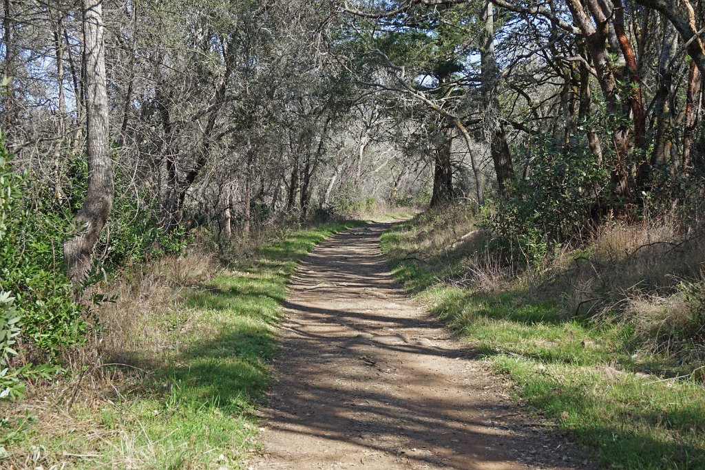 DSC05703