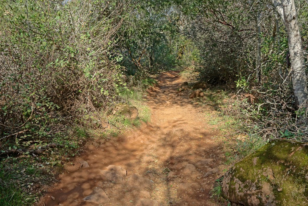 DSC05794