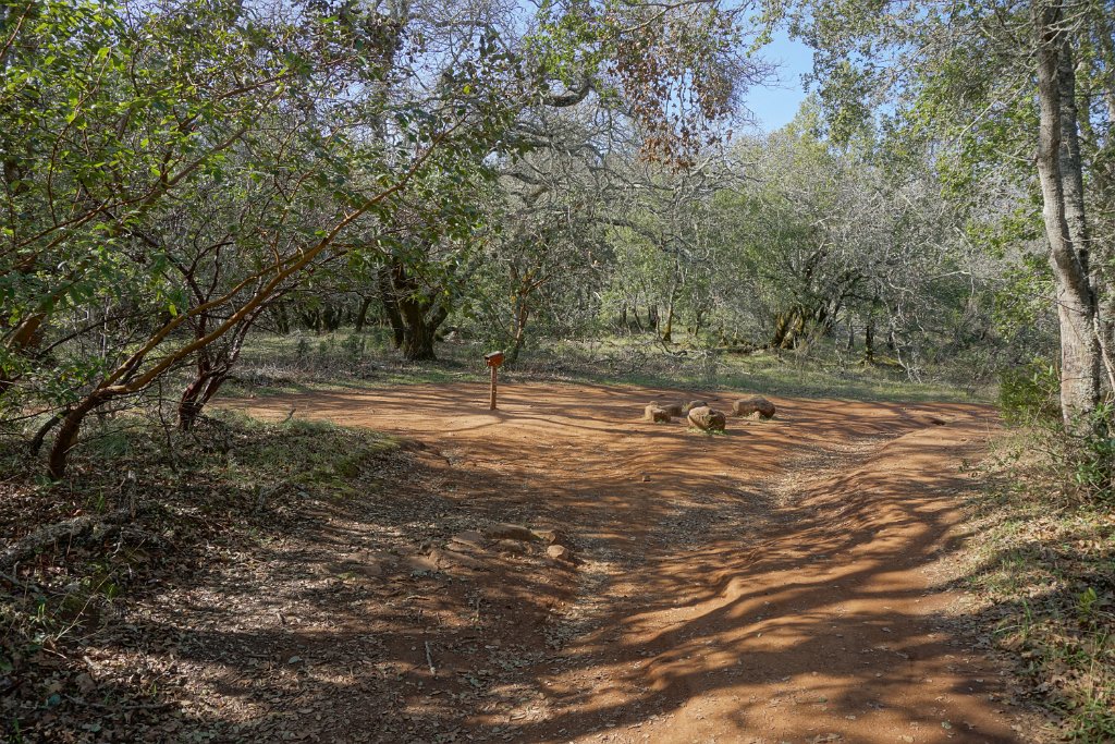 DSC05798