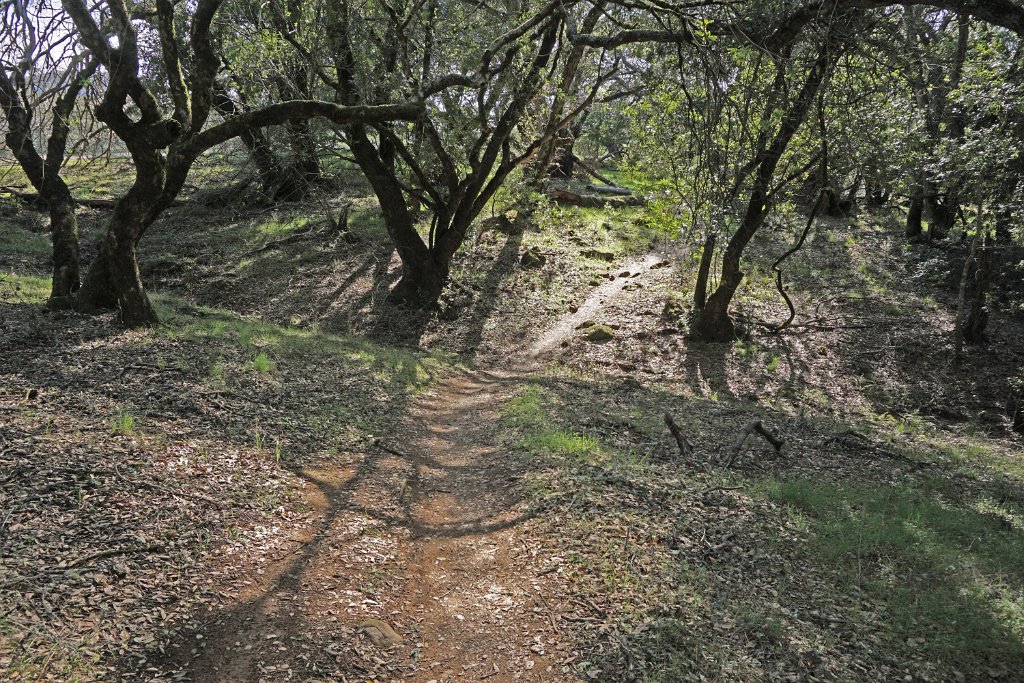 DSC05811