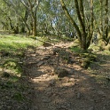 DSC05506