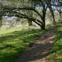 DSC05516