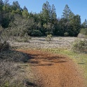 DSC05518