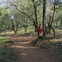 DSC05530