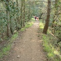 DSC05534
