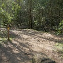 DSC05538
