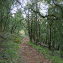 DSC05542