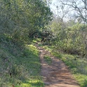 DSC05544