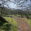 DSC05550