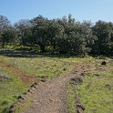 DSC05555