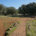 DSC05558