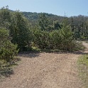 DSC05571