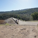 DSC05575