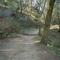 DSC05585