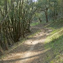 DSC05595