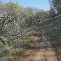 DSC05597