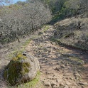 DSC05605