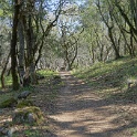 DSC05607