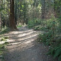 DSC05618