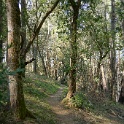 DSC05622