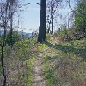 DSC05642