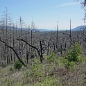 DSC05644