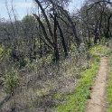DSC05654