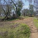 DSC05658