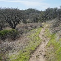 DSC05662